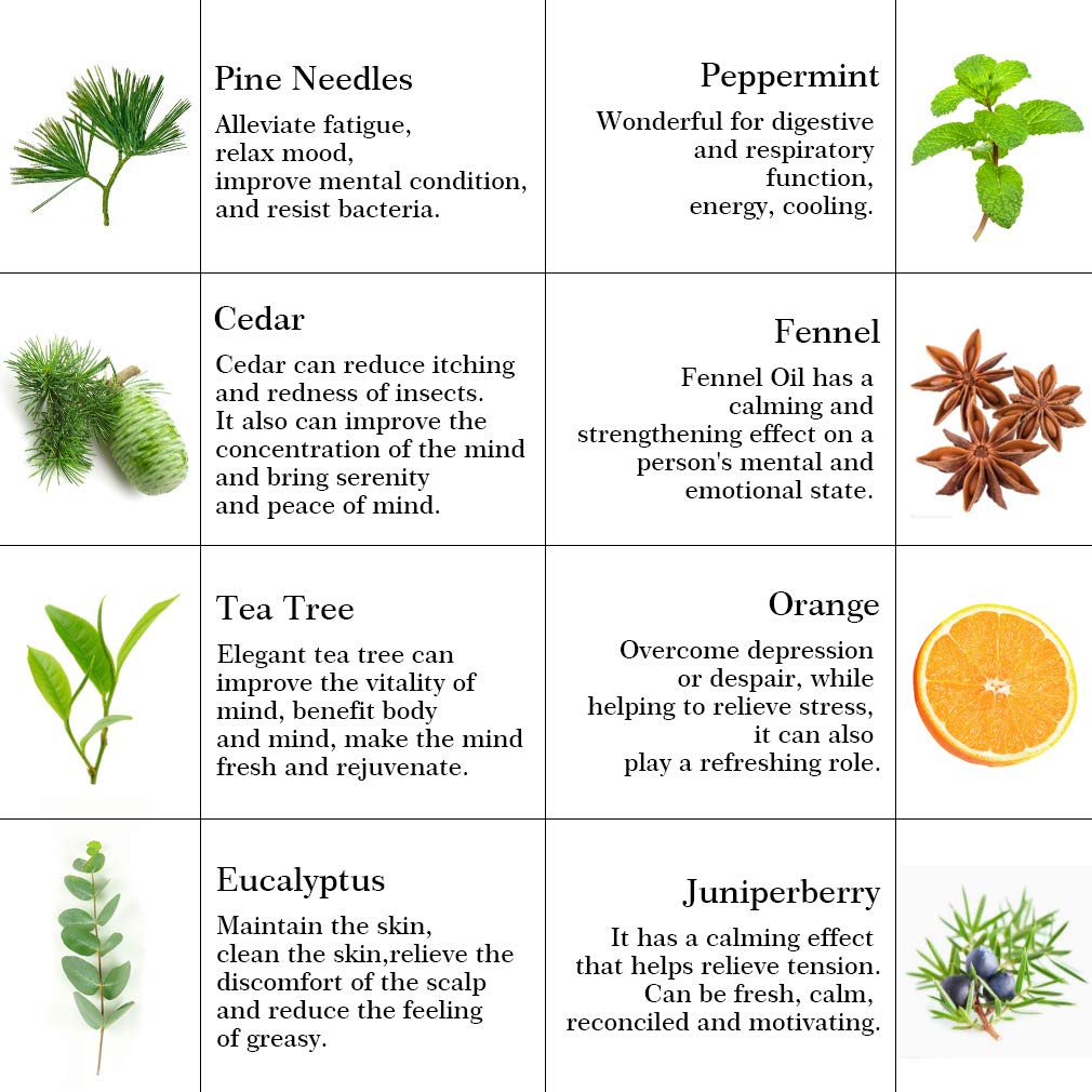 Aromatherapie Teebaum ätherisches Öl Set für Diffusor, 100% pure Zeder ätherische Öle Kit für Kerze&Seife machen,8x10ml ätherische Öle Set-Eukalyptus,Juniper Berry Öle...für Hause