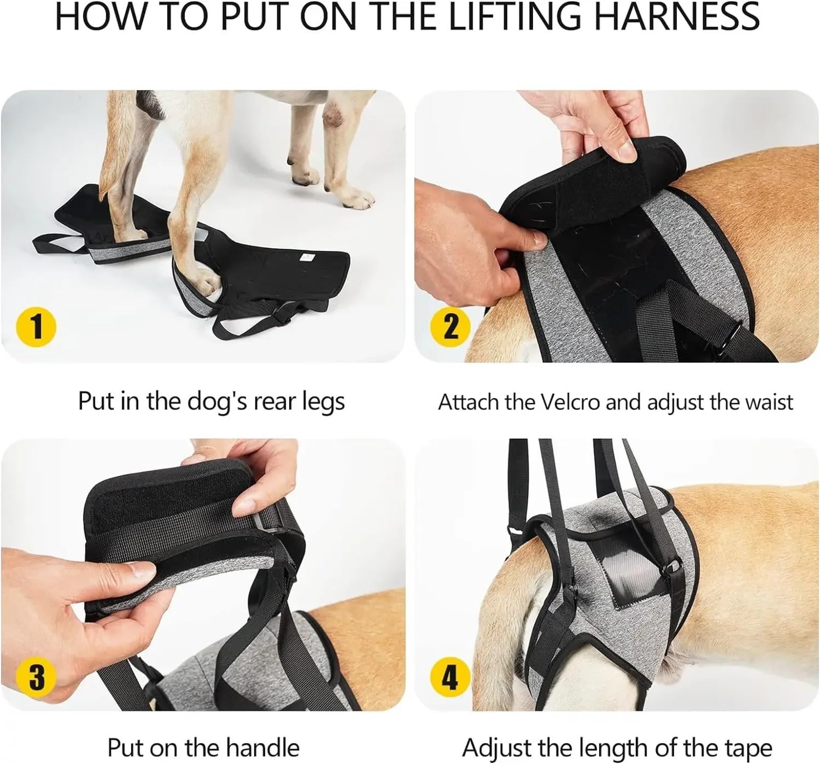 Hunde-Beingurt für Behinderungen, hilft beim Spazierengehen, Hilfsgurt, Erholung, postoperative Rehabilitation, Hundezubehör (M)