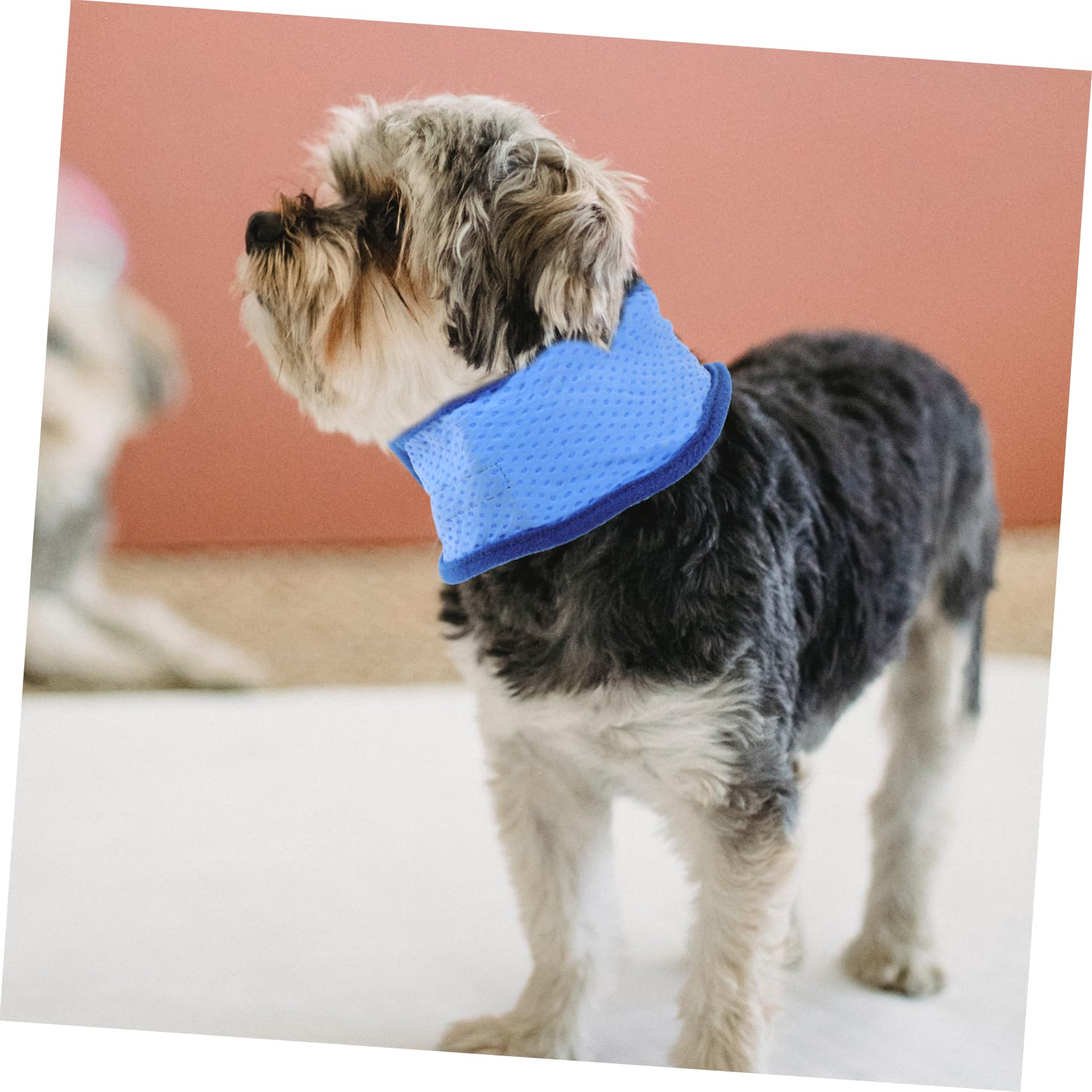 BESPORTBLE 6stücke Hundekühlbandana Für Sommer Kühlende Halsbinde Für EIS-halskragen Hitzelinderung -zubehör