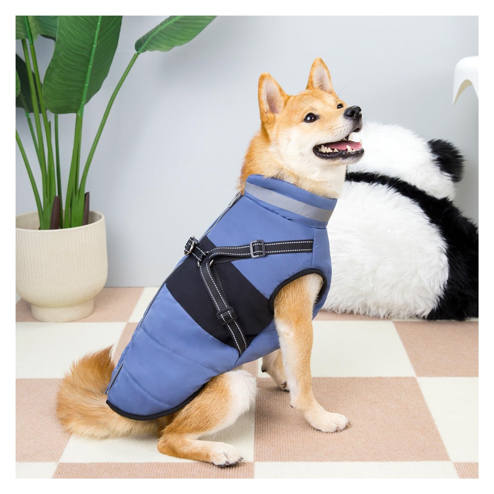 Manteau d'hiver pour chien de petite race – Veste chaude rembourrée avec bandes réfléchissantes pour temps froid – Design confortable à 2 pattes pour activités de plein air (bleu, taille XXXXL)