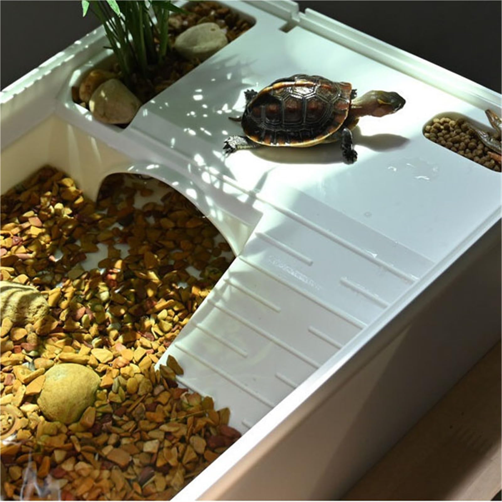 Siedlisko terrarium Hodowla żółwi brazylijskich w domu za pomocą platformy do suszenia na słońcu i zbiornika dla Terrarium akwariowe(Bare box)