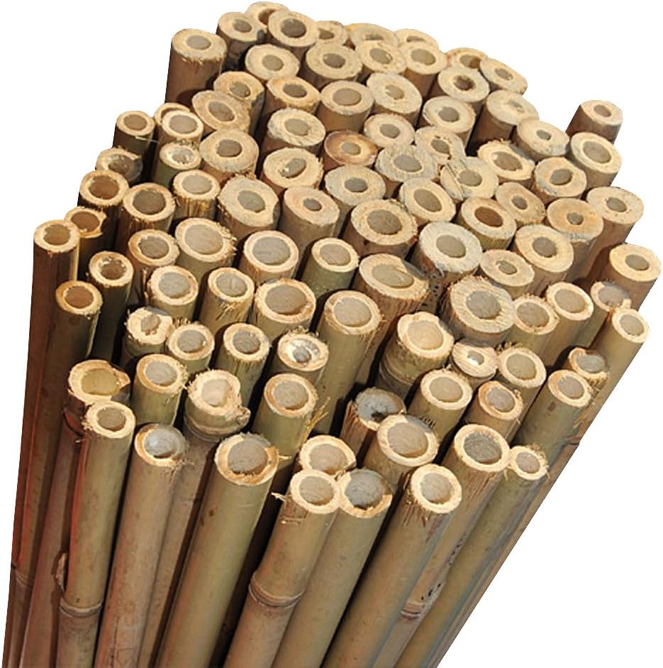 Elixir Gardens Strong Heavy Duty Professional Bamboo Plant Support Garden Canes | All lengths in stock 2, 3, 4, 5, 6, 7 & 8ft | Choose from a range of pack sizes from 10 to 250 | 8ft x 10