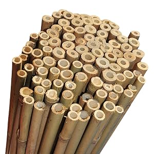 Elixir Gardens Strong Heavy Duty Professional Bamboo Plant Support Garden Canes | All lengths in stock 2, 3, 4, 5, 6, 7 & 8ft | Choose from a range of pack sizes from 10 to 250 | 3ft x 10