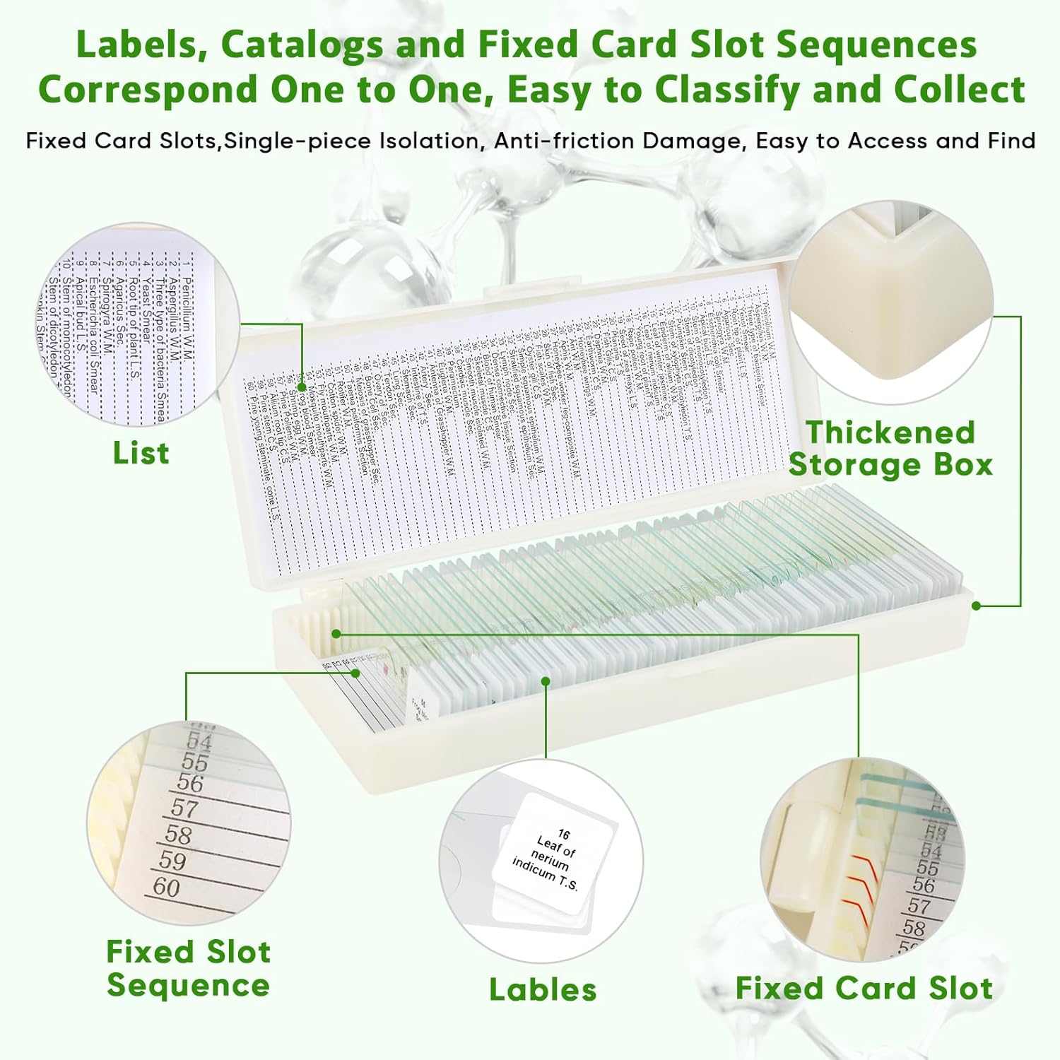 60 Microscope Slides with Specimens,Prepared Microscope Slides for Kids,Glass Slides for Microscope,Prepared Slides for Kids Microscope,Microscope Slide Preparation Kit for Biology Science Classes
