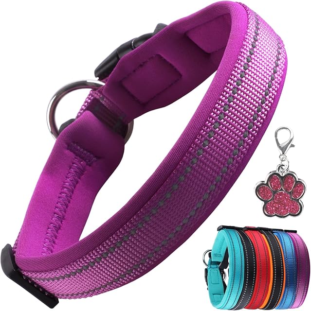 Padded Dog Collar with Tag Reflective Dog Collars for Small Medium Large Dogs Soft Neoprene Adjustable Basic Dog Collars Puppy Pets Collar with Quick Release Buckle, Purple M