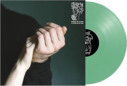 We Already Lost The World por Birds In Row — capa do álbum