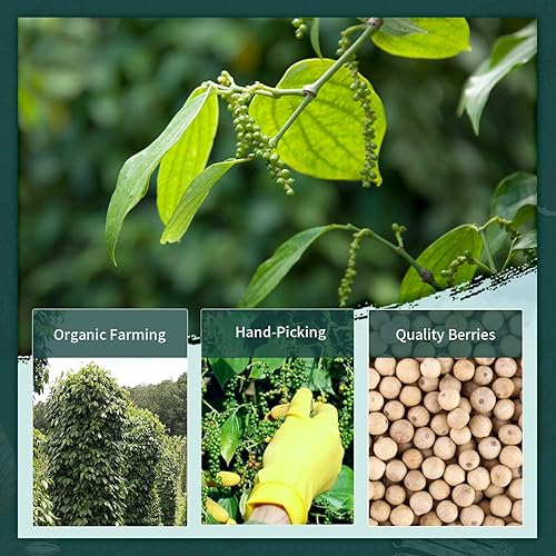 Miniatura 6 de Soeos Pimienta blanca fina molida, 18 onzas, sin OMG, verificada por Kosher, recién empaquetada para mantener los pimientos frescos, grano fino,