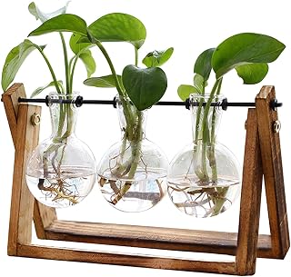 XXFLOWER 3-Bulb Plant Terrarium with Wooden Stand - Retro Glass Vase Holder for Hydroponics, Air Plants, Home Office Decor