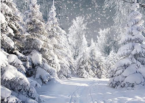 Dudaacvt 7x5FT White Winter Forest Scene Photography Backdrop Wonderland Snowflake
