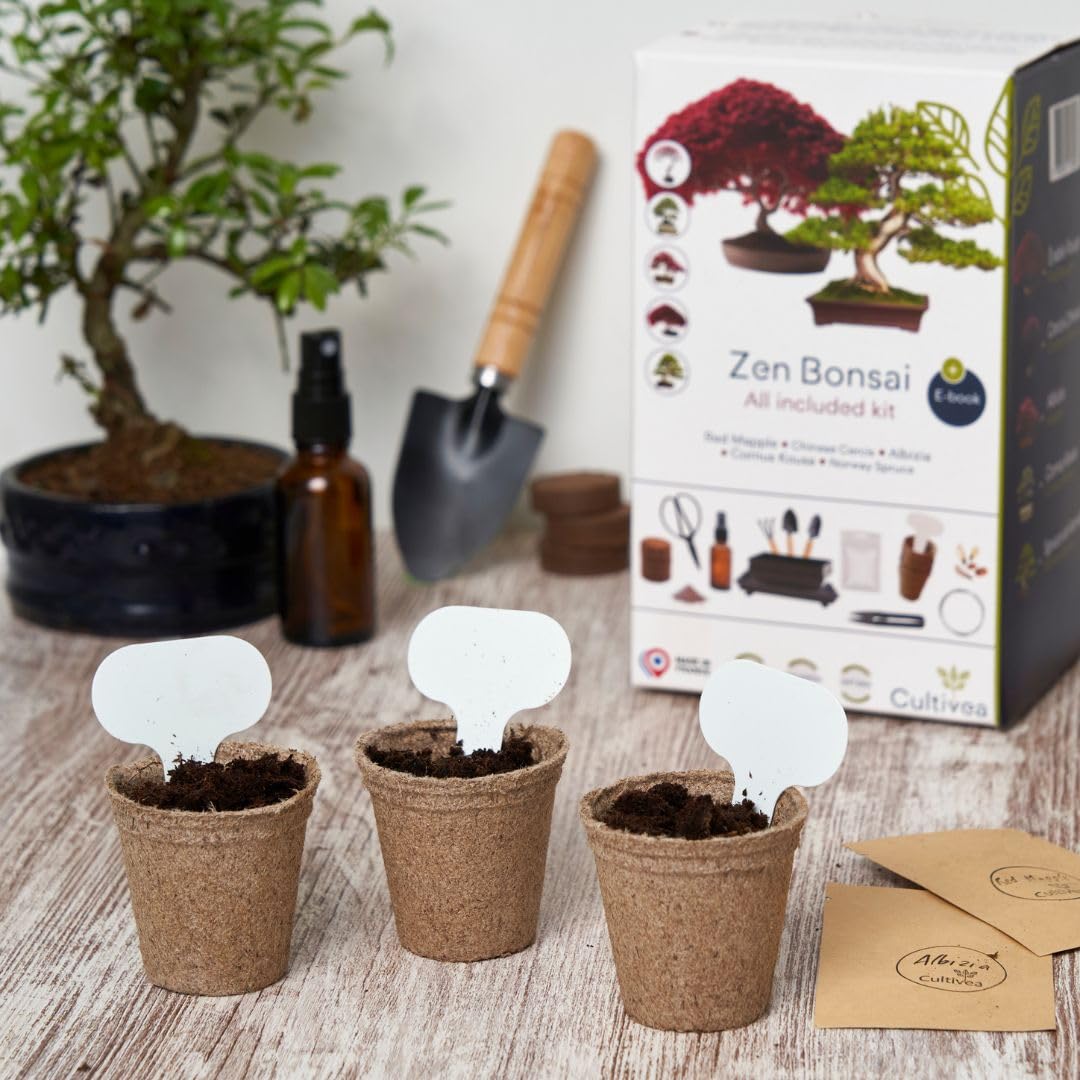 CULTIVEA Bonsai-Set Premium Pflanzfertig - Gärtnern und Dekorieren - Natürliche Bonsai- und Pflanzenpflege - Draht, Dünger, Werkzeuge, Rundschere, Kleine Bonsaischere - Originelle Geschenkidee