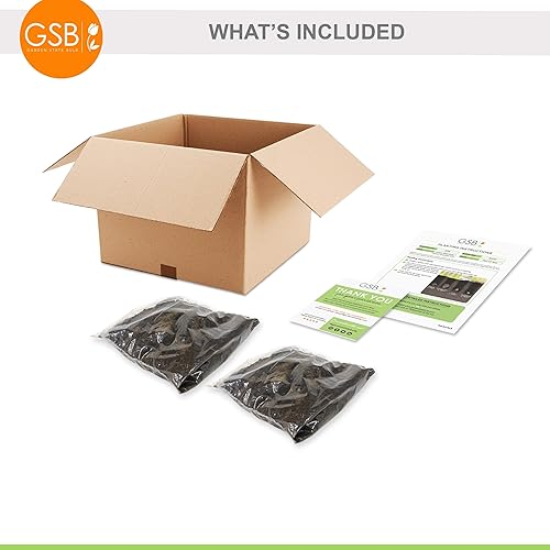 Miniatura 2 de Garden State Bulb Topmix Single Mix - Bombillas de flores de dalia multicolor, primavera (bolsa de 8)