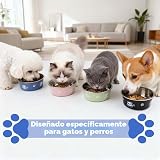 Ver la foto 7