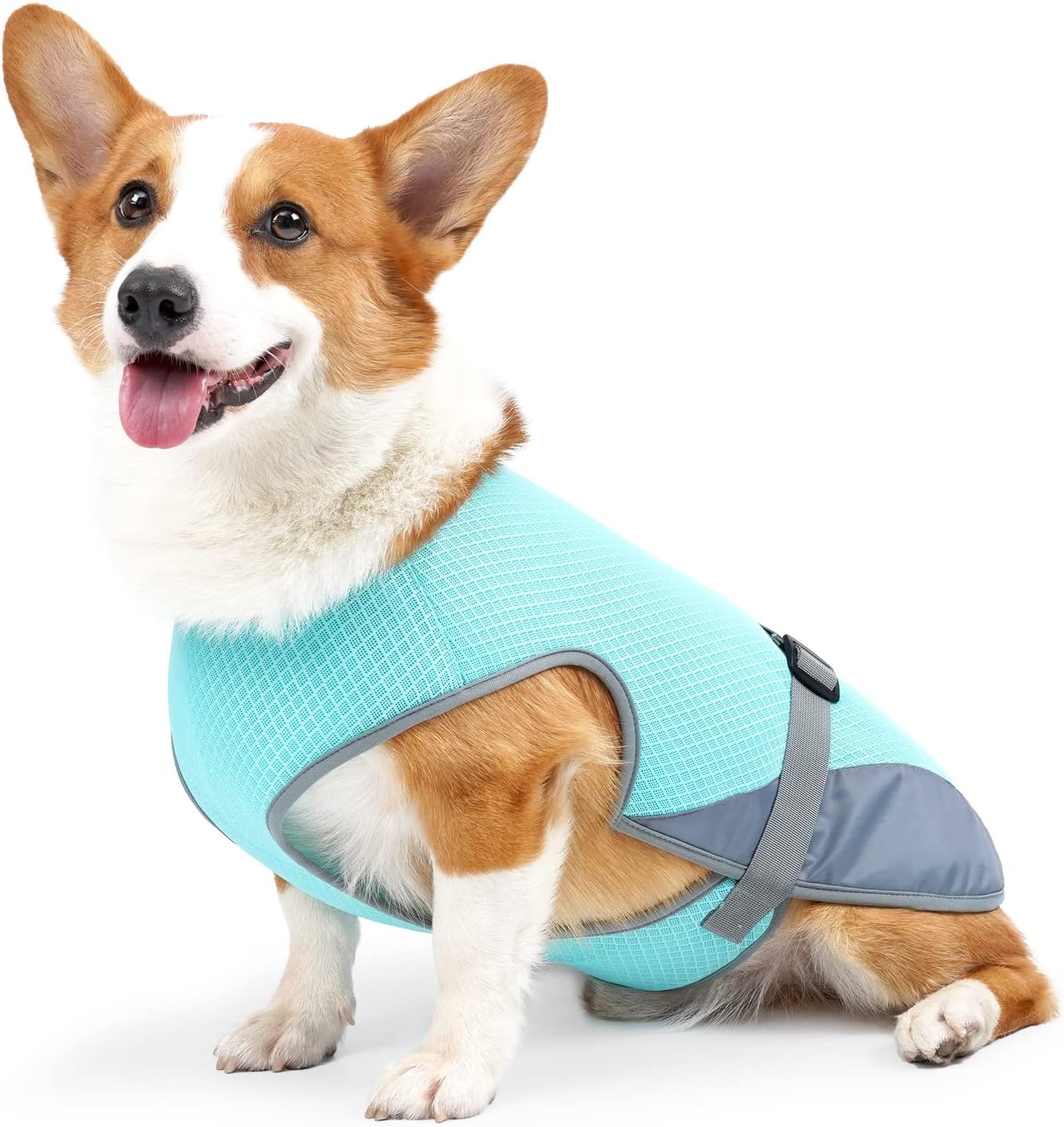 Jodsen Dog Cooling Vest, Dog Cooling Jacket, Safe Dog Coat for Summer