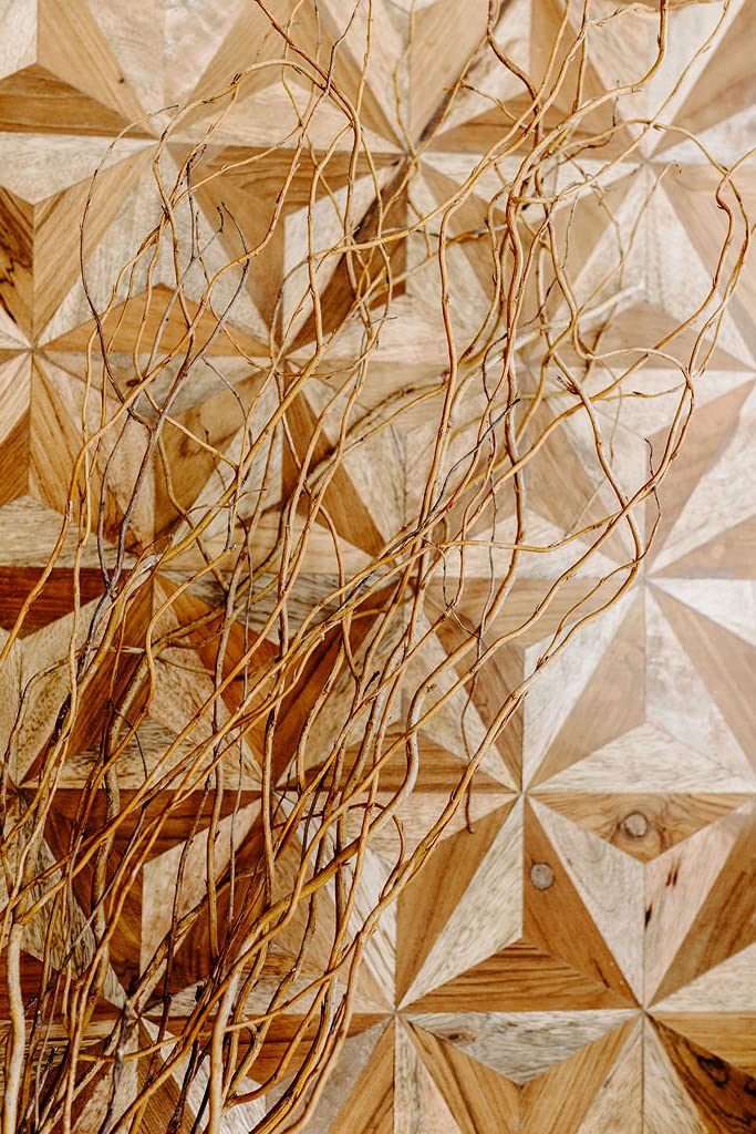 Green Floral Craft 12 Stem Dried Curly Willow Branches 34 Feet Tall