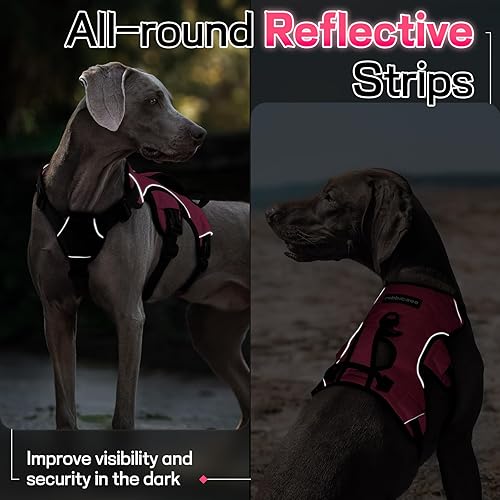 Miniatura 9 de rabbitgoo Arnés para perro a prueba de escapes, arnés suave acolchado de cuerpo completo para mascotas, chaleco reflectante ajustable sin tirones