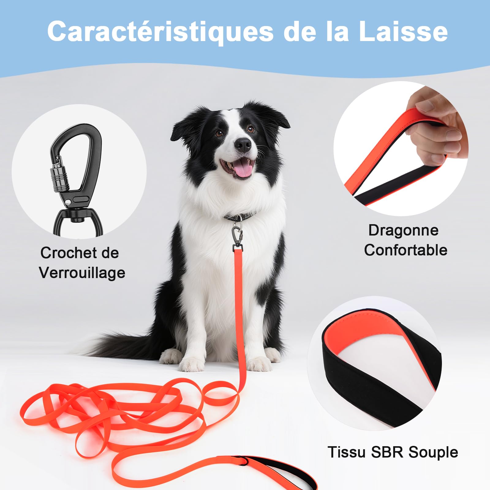Longe pour Chien, 1,8M/ 3M/ 5M/ 10M/ 15M/ 20M/ 25M/ 30M Laisse de Dressage étanches pour Chiens, Long Laisse pour Petits, Moyens et Grands Chiens