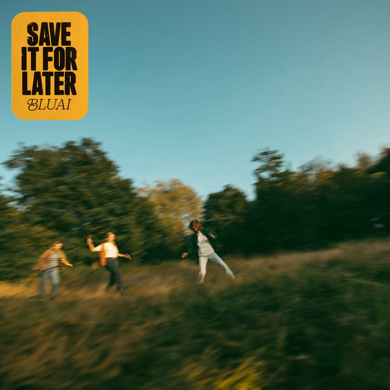 SAVE IT FOR LATER