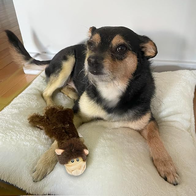Foto 7 de 8 de Best Pet Supplies, Juguetes chillones 2 en 1 con Tela Suave y Resistente para Perros pequeños
