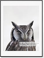 Vista 498 de Fun Memories Portarretratos de metal de 16 x 20 pulgadas con paspartú de 11 x 14 pulgadas, acabado de aluminio cepillado, parte delantera de vidrio