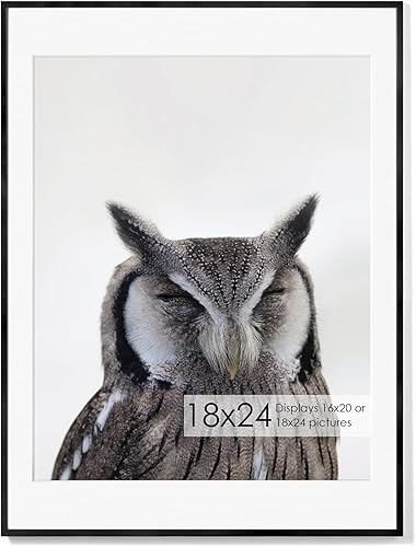 Miniatura 498 de Fun Memories Portarretratos de metal de 16 x 20 pulgadas con paspartú de 11 x 14 pulgadas, acabado de aluminio cepillado, parte delantera de vidrio