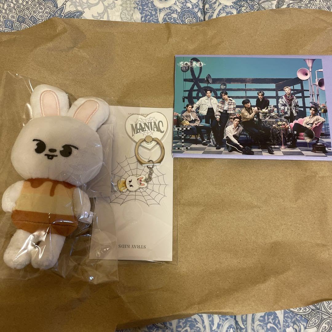 Amazon.co.jp: straykids リノ Leebit セット リービット ポストカード 