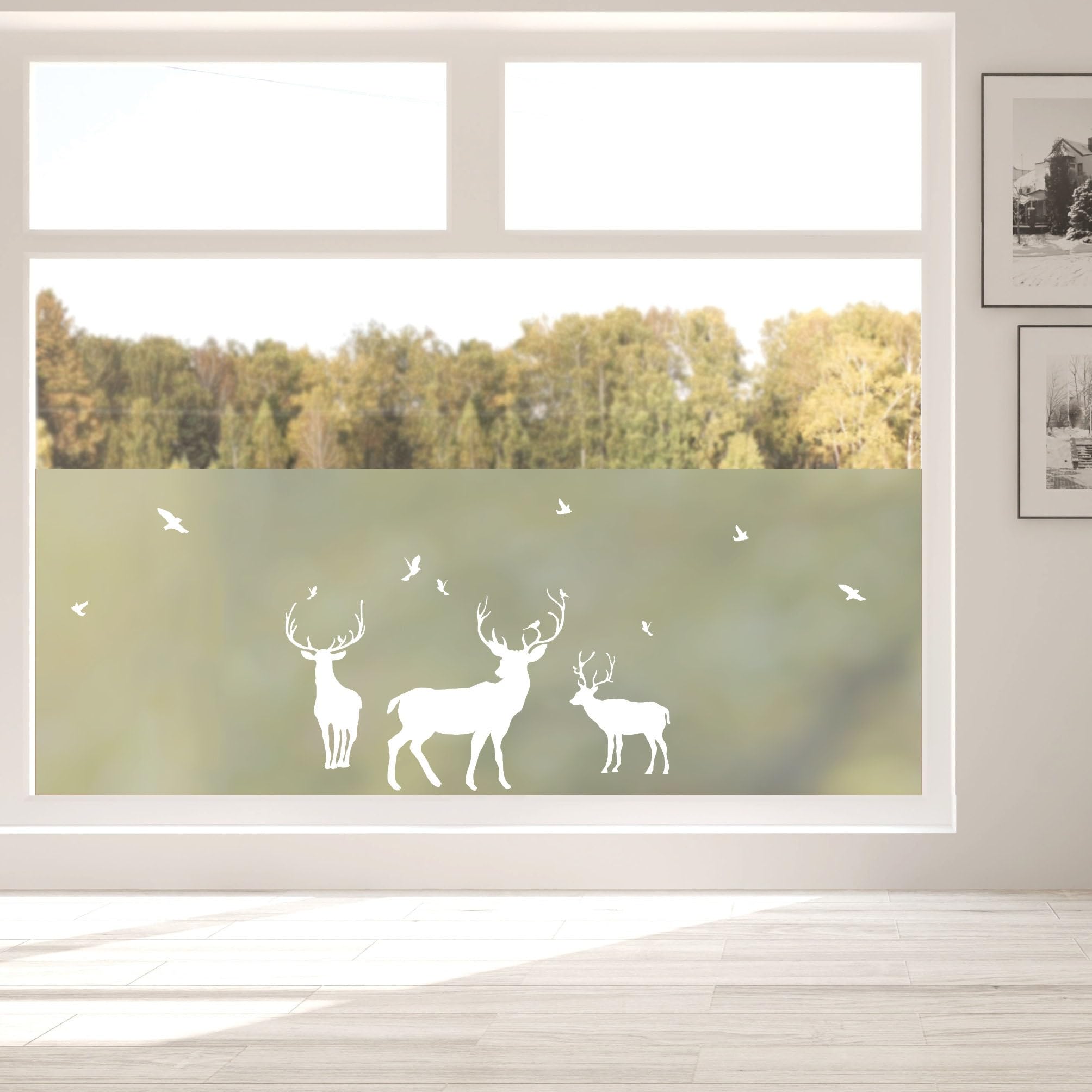 Sichtschutzfolie Hirsche Fensterfolie Fensterdeko Milchglasfolie Sichtschutz, 100 cm hoch, 100 cm breit