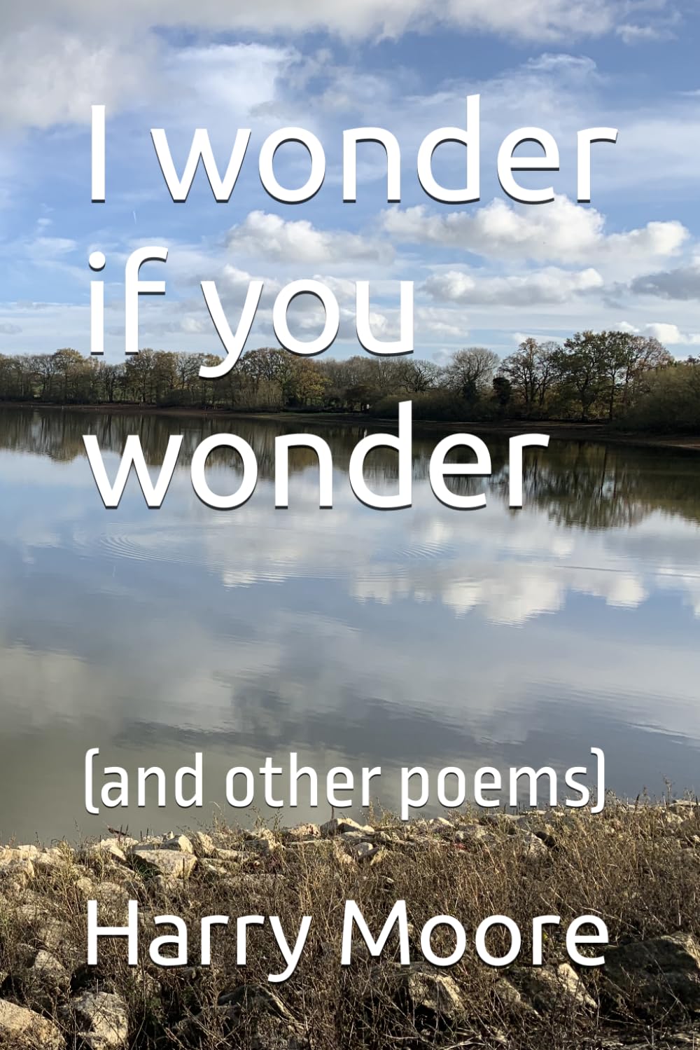 I wonder if you wonder: (and other poems)