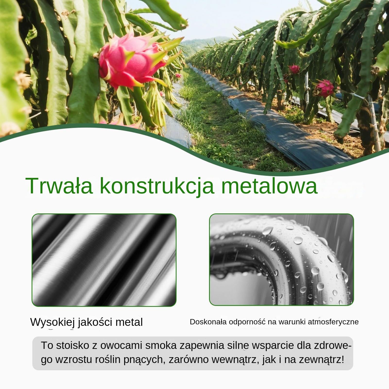 Kratka dla Pitaji Regulowane Pionowe Wsparcie | Stelaż Dla Pnączy Ogrodowych Do Pomidorów Kwiatów Ogórków Roślin Pnących Donice Taras Ogród
