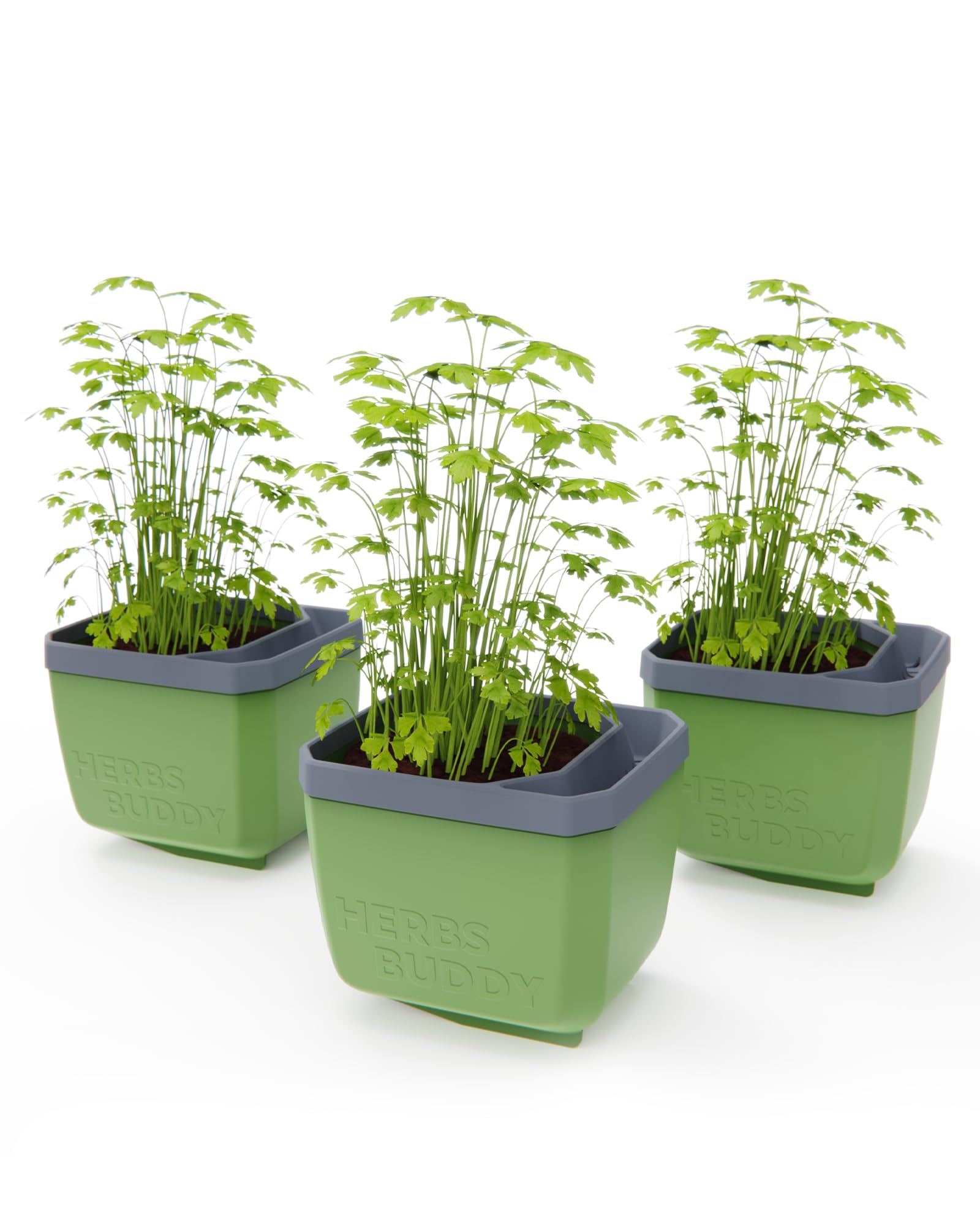 Gusta Garden Herbs Buddy Self-Watering Planter Pot For HerbsSpecial Water Level Indicator (3 PackDark Green) from B&Q
