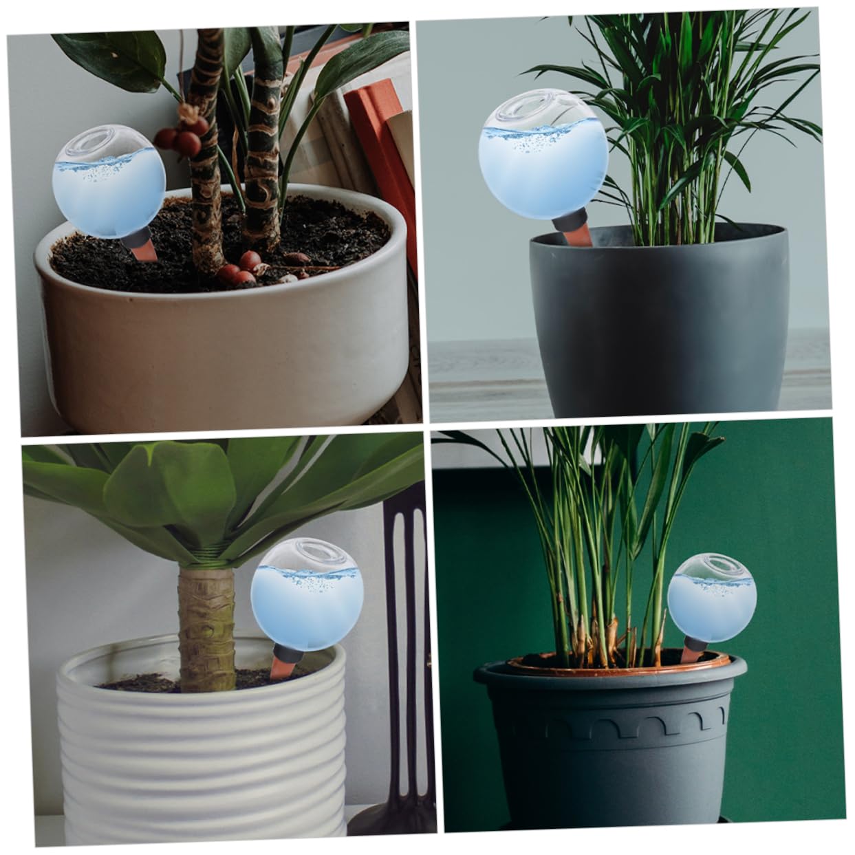 POPETPOP 6 Pièces Dispositif d'arrosage Automatique dispositifs d'auto-arrosage des Plantes Globes d'arrosage pour Plantes d'extérieur arrosage à Globe d'arrosage Globe d'eau