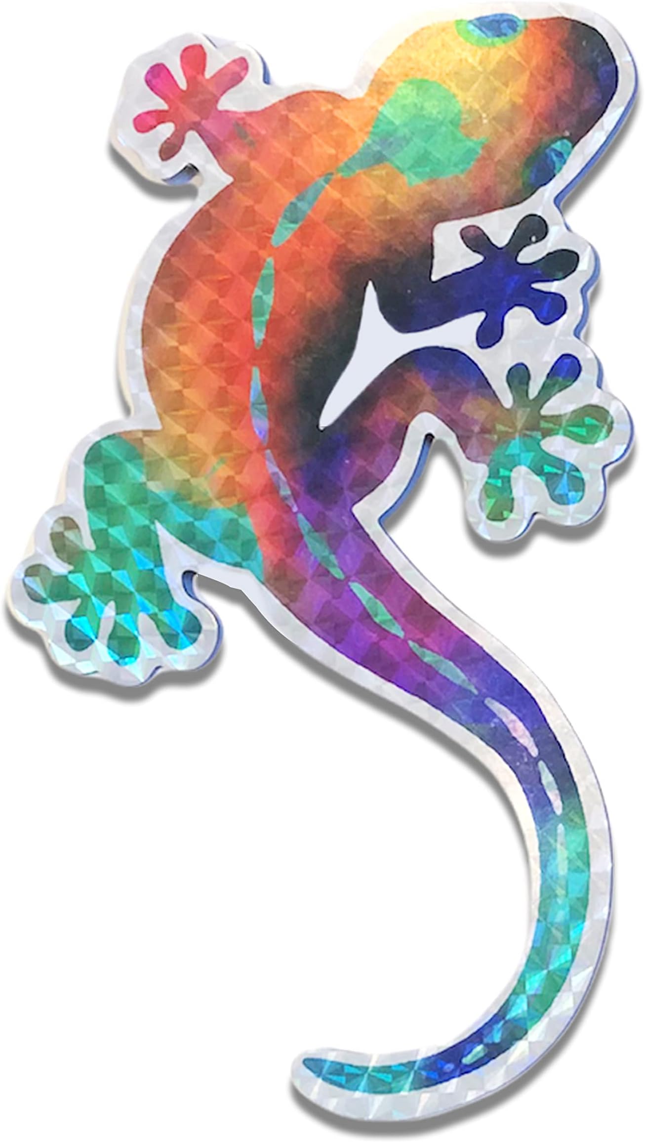 Rainbow Gecko Screen Saver Sliding Door Lanai Screen Door