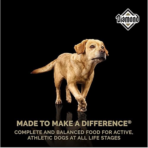 Miniatura 5 de Diamond Alimento seco completo y equilibrado para perros de trabajo o exhibición, 20 libras, (Modelo 109_20_DPA)