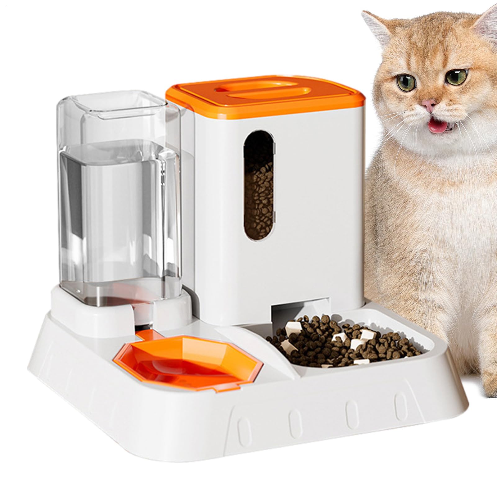 Distributeur nourriture chat automatique anti-gaspillage pour le bien-être animal