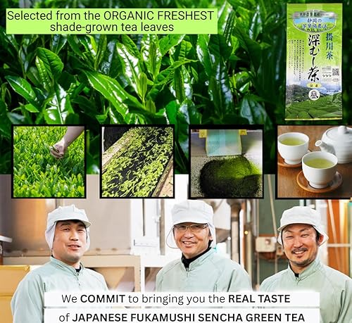 Vista 4 de Otsuka Green Tea Co – Kakegawa Fukamushi Sencha 100g Deep Steamed Japanese Green Tea Grown in GIAHS-Certified Shizuoka Rich Umami & Smooth