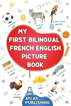 My first bilingual French English picture book 500 words in the French language - A visual dictionary with illustrated words on everyday themes - Learn French vocabulary for kids and beginner adults
