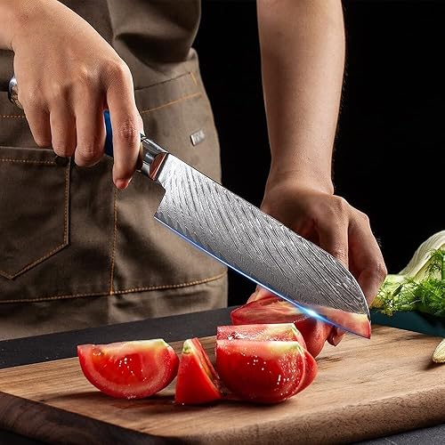 Miniatura 3 de Juego de cuchillos de cocina, 6 piezas de cuchillo de cocina profesional de acero de Damasco Japón VG10 resina azul y mango de madera de color