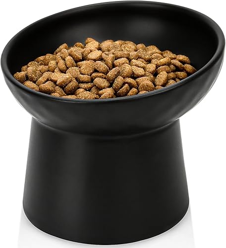 YauYik Cuencos elevados de cerámica para gatos, juego de cuencos elevados inclinados para comida y agua, plato de alimentación de mascotas sin
