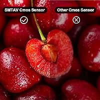 Vista 13 de SMTAV PTZ Camera,30X NDI PTZ Camera with AI Tracking and HDMI/SDI/USB3.0/IP Streaming Outputs for Church,Conference,Events,Teaching