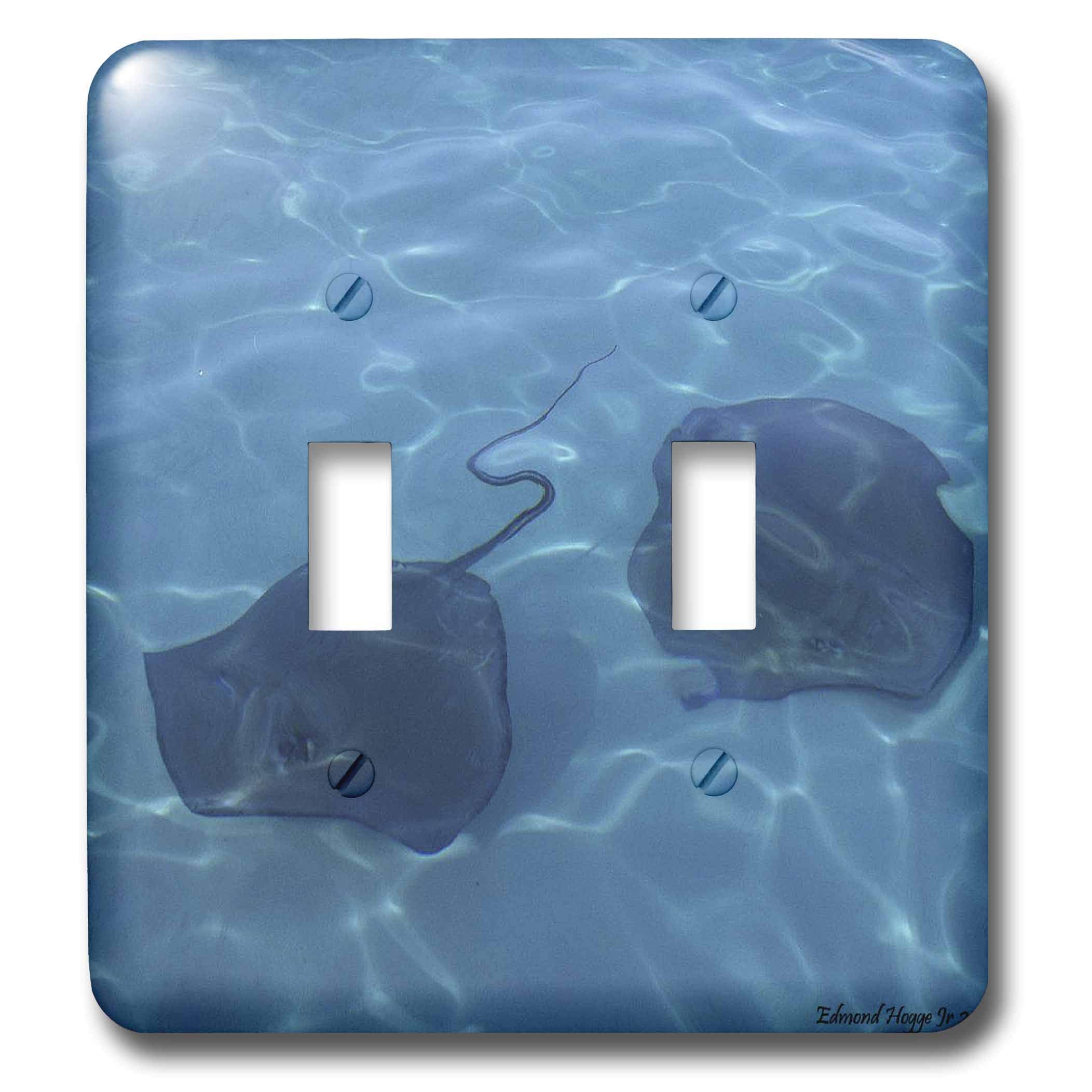 Interrupteur à baïonnette Cayman Island Stingrays pour cacher les murs ternes