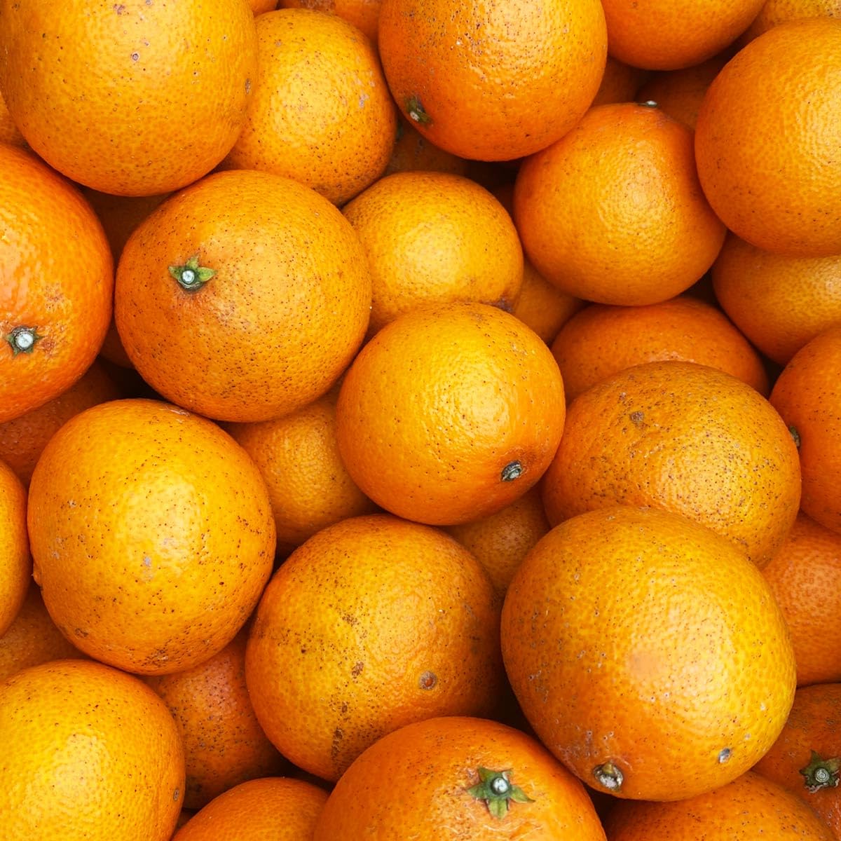 Amazon.co.jp: まどんな (訳あり4kg) みかん 柑橘 フルーツ 果物 愛媛