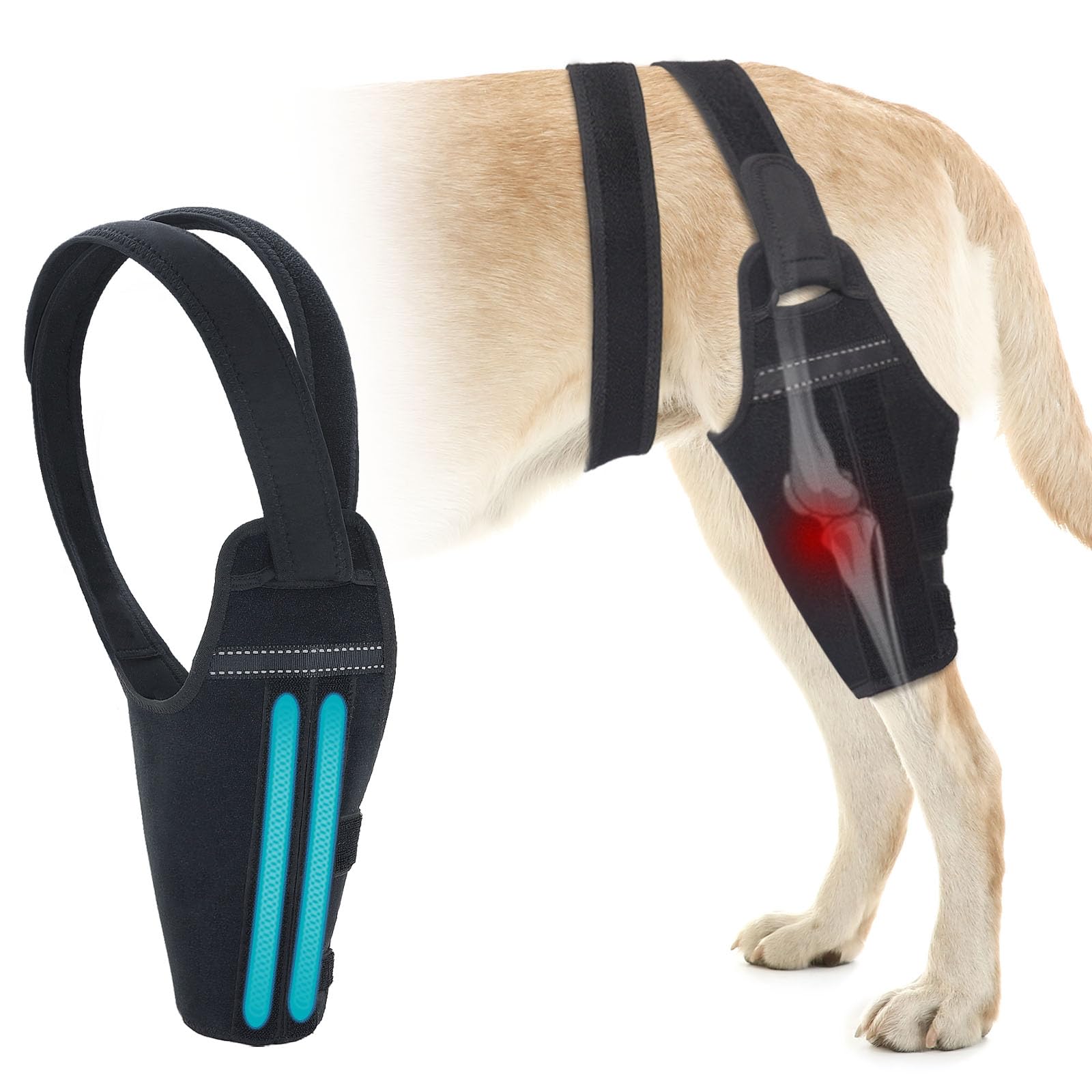 GoGoPaw Hind Leg Brace