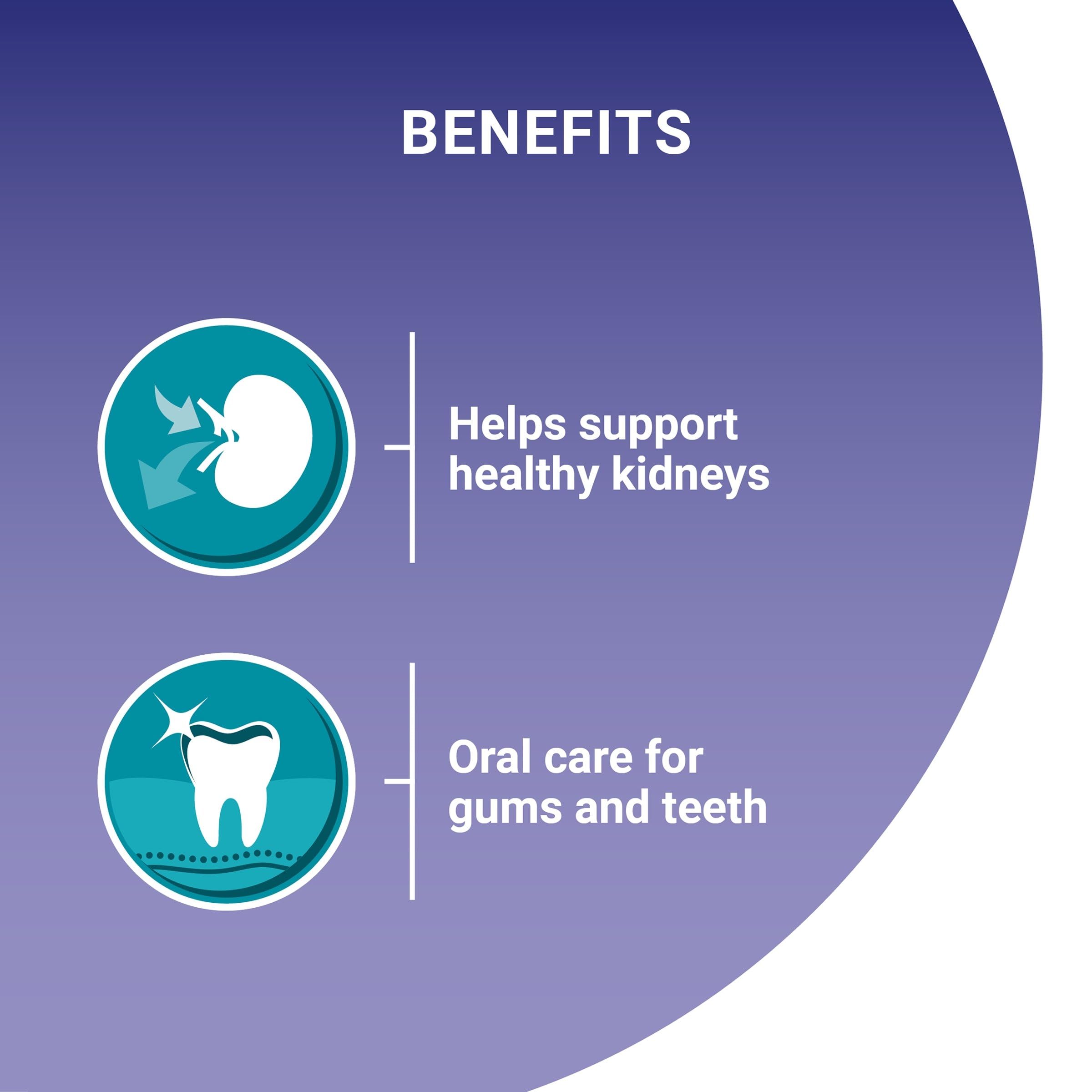 View 3