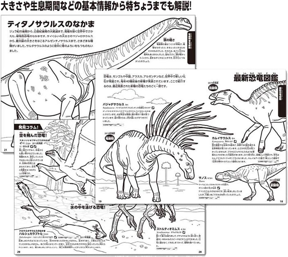 ぬりえ 3点セット 学べるぬりえ 動く図鑑move 動物 昆虫 恐竜 送料無料 直営ストア