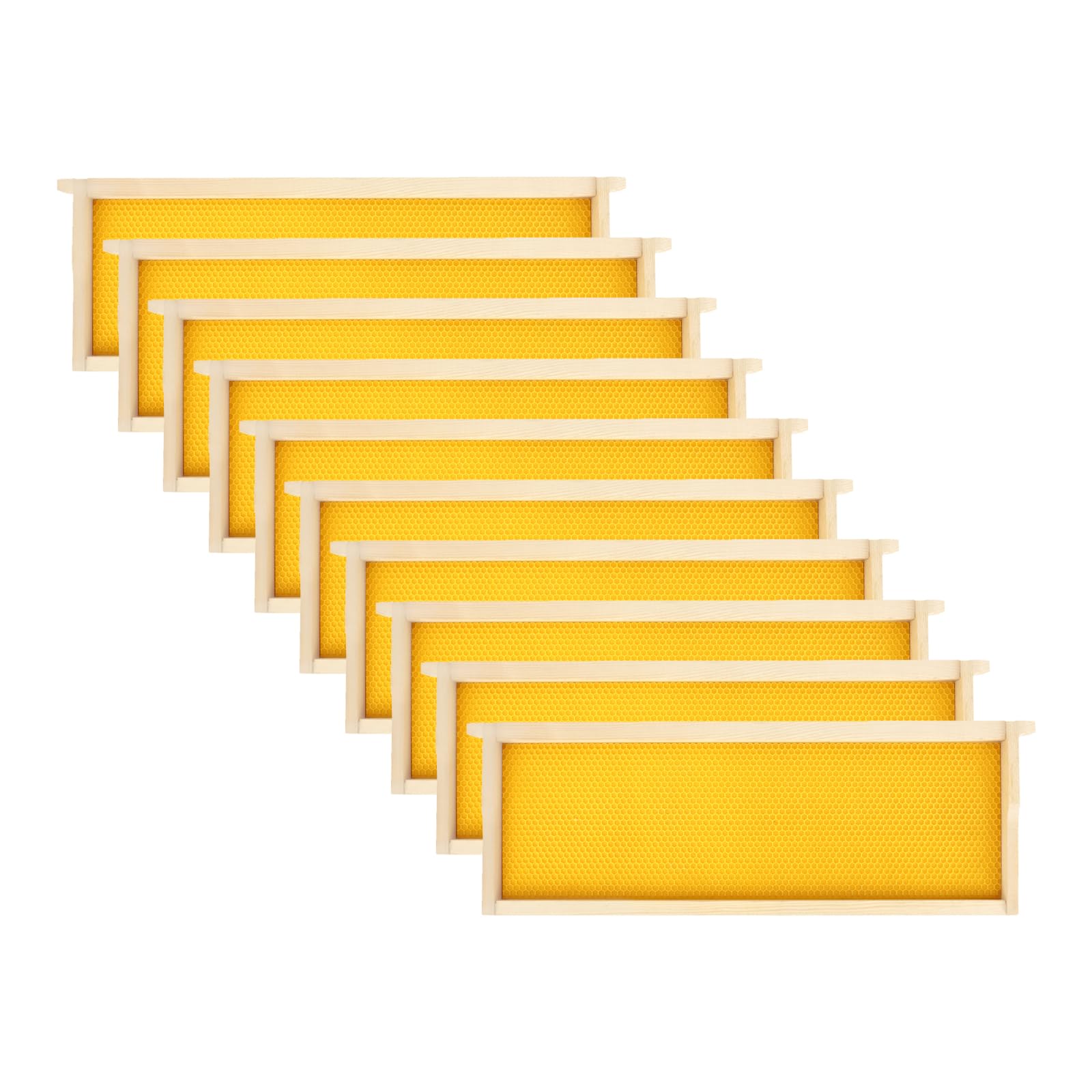 Fondations en cire d'abeille et cadres en bois 16,5 cm durables pour ruche de tradition jaune