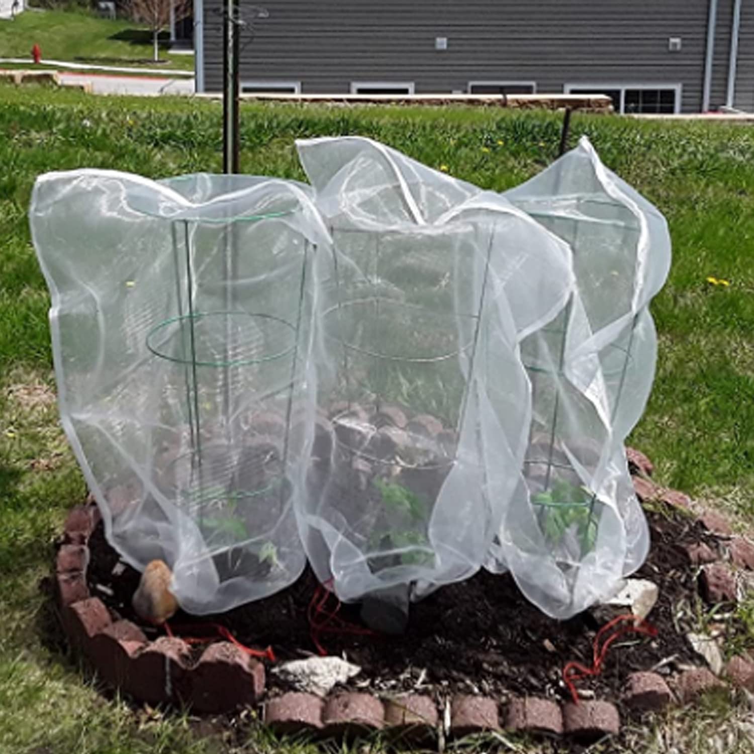 Rete di protezione per piante da giardino, frutta, mirtilli, cespugli di mirtilli, 120 x 180 cm, con coulisse, copertura protettiva per pomodori e piante da giardino, per verdure e frutta