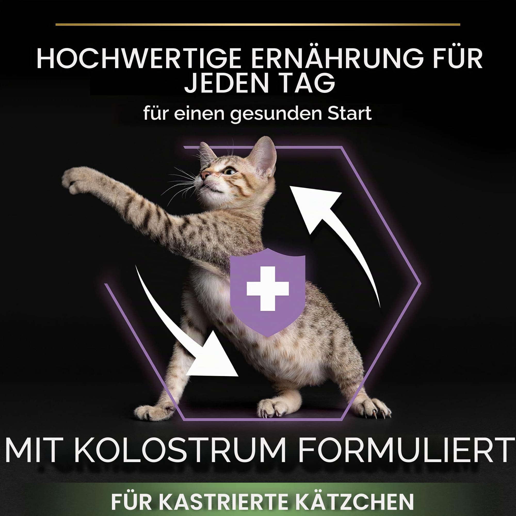 PRO PLAN Sterilised Kitten Healthy Start Lachs, 3 kg