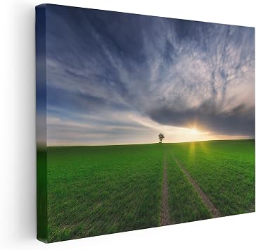 Monem Art Solitary Tree Sunset Field Landscape Photography Print - Minimalist Pastoral Nature Art Poster - Wall Decor for Living Room, Bedroom or Office - 8x10 STRETCHED CANVAS Wall Art by Piotr Krol