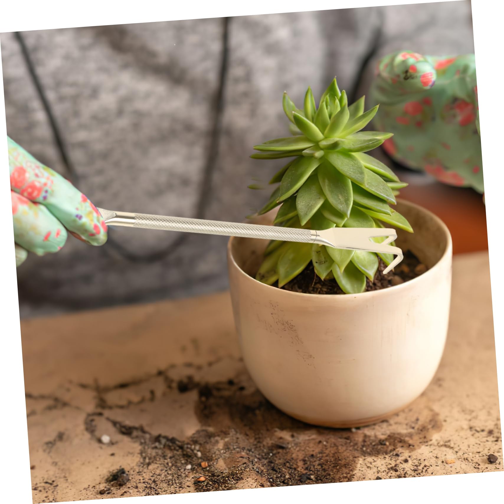 Abaodam 4 Piezas Rastrillo de Bonsai Inoxidable para Jardinería Herramienta Multifuncional para Plantas Macetas Diseño Ergonómico y Acabado para Entusiastas y Profesionales