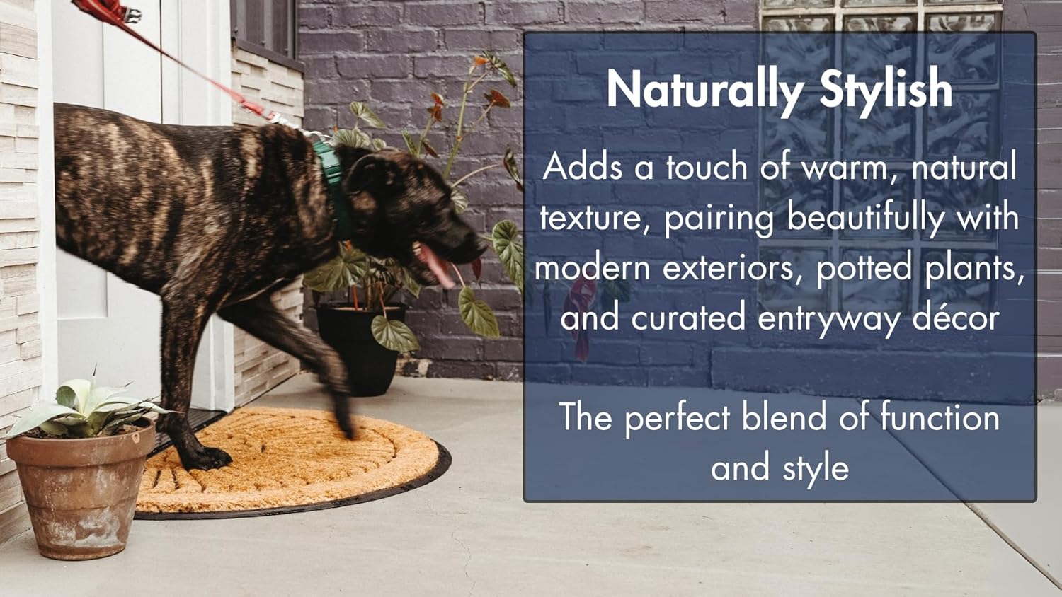 Notrax All Weather Rubber-Backed Natural Coco Coir Half Circle Door Mat – 24" x 39" Fade Resistant Large Front Door Mat Outside Entrance, Porch, Entryway – Indoor or Outdoor Use – C04S2439CR