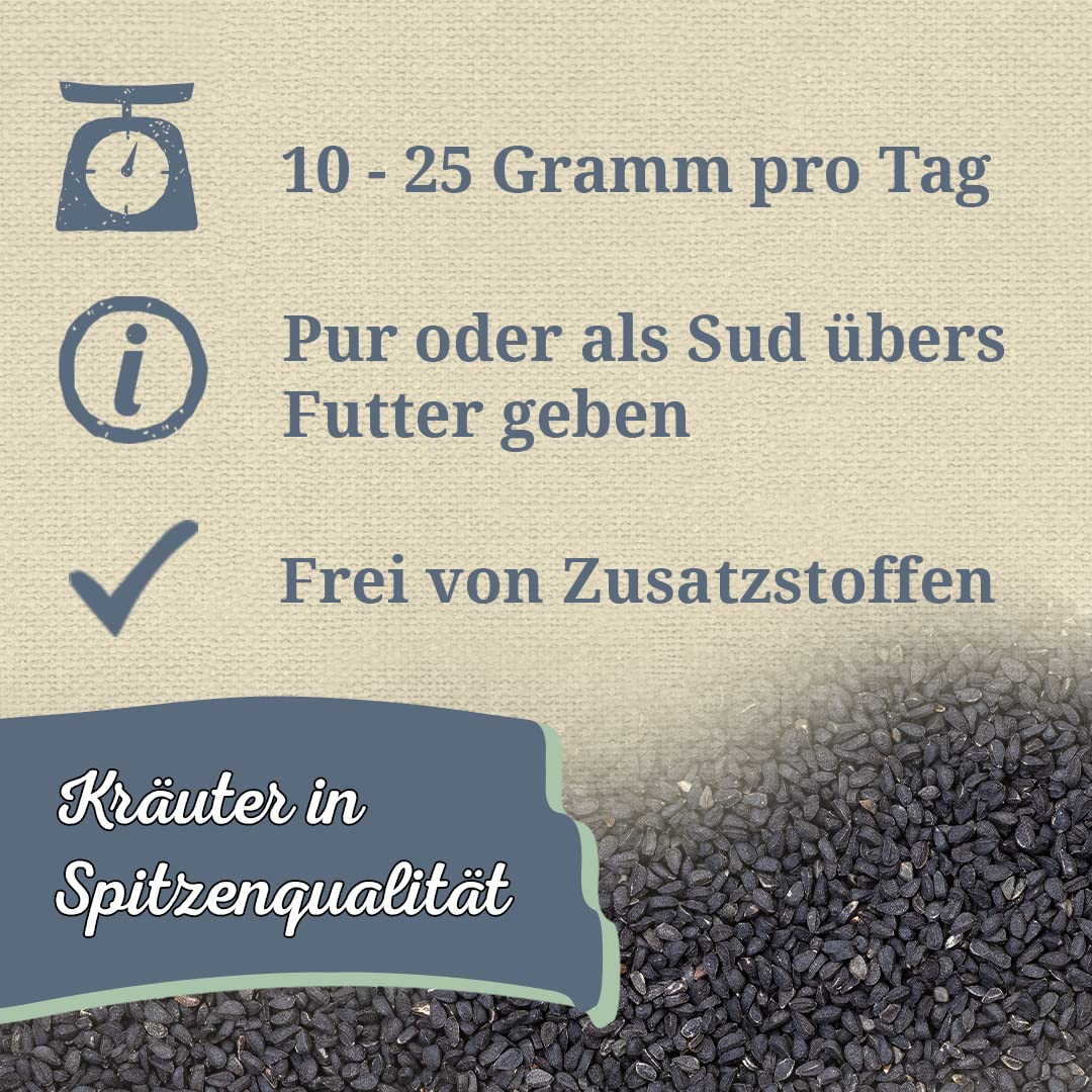 Krauterie Schwarzkümmelsamen für Pferde, ganz (5000 g) | Artgerechtes Einzelfuttermittel für Pferde in Spitzenqualität - frei von Zusatzstoffen, getreidefrei, zuckerfrei, melassefrei